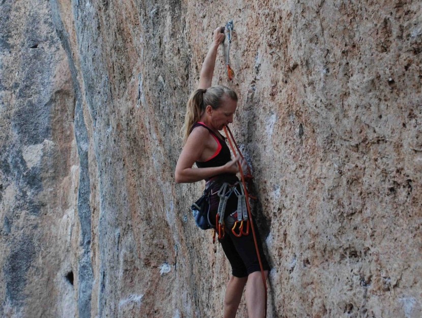 need a rope that clips quickly and doesn't feel like it weighs a...