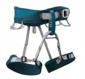 Product photo of Black Diamond Primrose