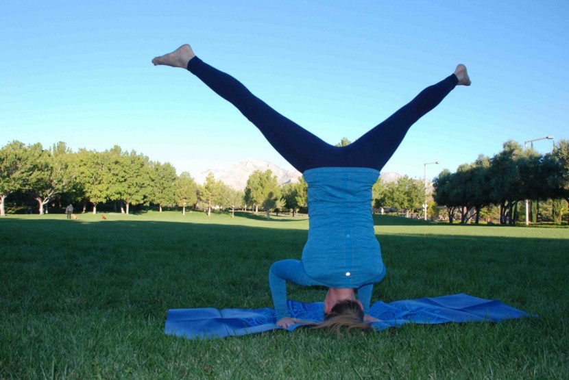 gaiam foldable - we wouldn&#039;t try this pose on a hardwood floor with this mat, but on...