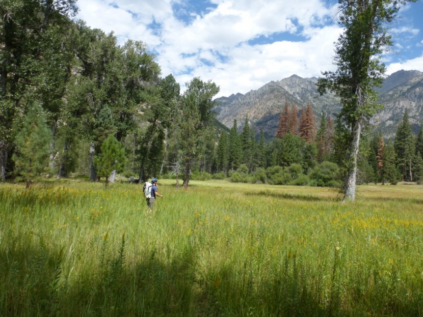 salomon x ultra mid 3 gtx - deep in kings canyon in varied terrain, the x ultras are supportive...