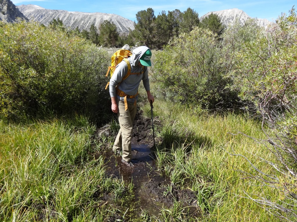 hiking boots men - hiking through the bog was a great way to test for support and...