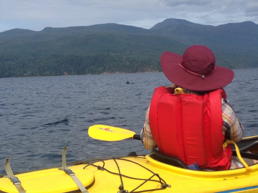 the north face horizon brimmer for women - the north face horizon brimmer has great coverage. see the seal?