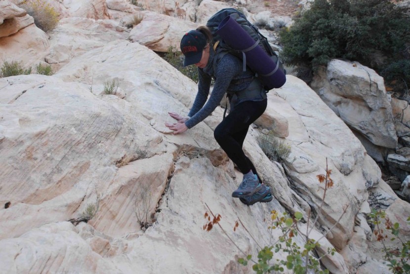 hiking pants women - we weren&#039;t just using these pants on flat trails ... we took them...