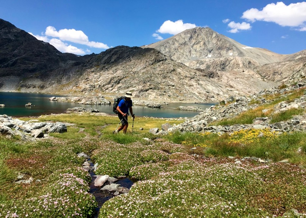 backpacks backpacking - the right backpack can be your faithful companion during...