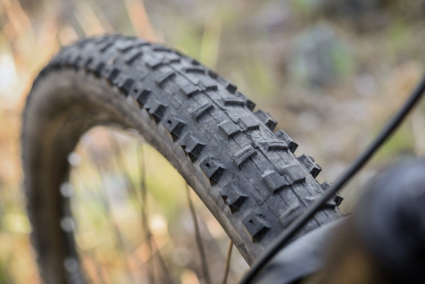 yt jeffsy al one 29 2017 - the onza ibex tires were respectable performer.