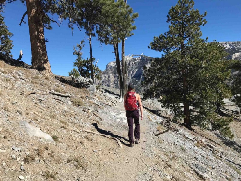 hiking pants women - full-length pants with no convertible options are preferred by some...