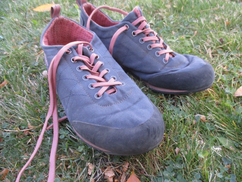 evolv cruzer psyche for women - the best buy award-winning evolv cruzer psyche.