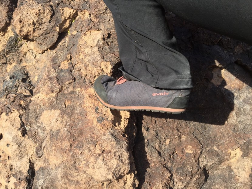 evolv cruzer psyche for women - though complete with a nice edge, the cruzer is a little too...