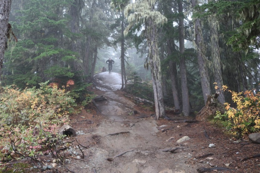 troy lee designs d3 carbon mips - rocks and grease shouldn't deter you with this helmet.