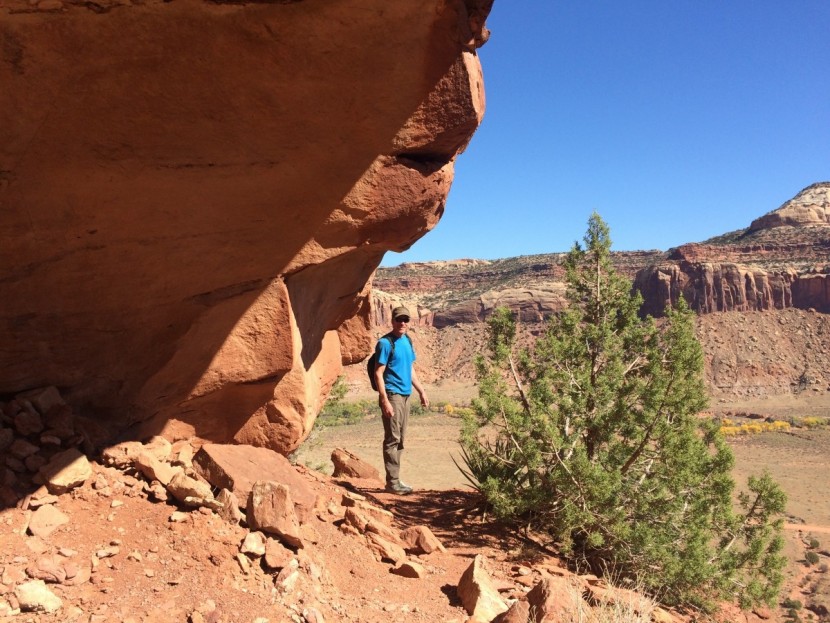 The North Face Paramount 3.0 Review | Tested & Rated