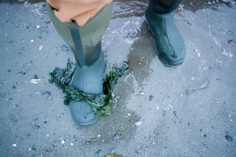 the original muck boot company edgewater ii - we were worried that the neoprene on these boots might leak in our...
