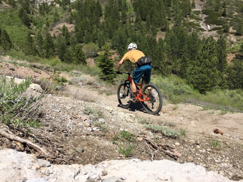 sidi sd15 - we had high expectations for the sd15. unfortunately, they were not...