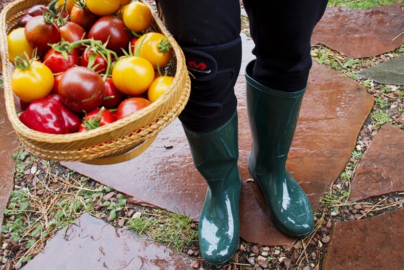 ugg shaye - confidently carrying tomatoes from the geodesic dome to the house in...