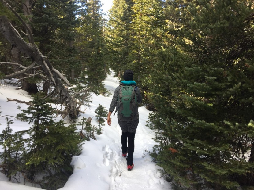 outdoor research ascendant hoody for women - hiking, biking, climbing, skinning, running - whatever your pleasure...