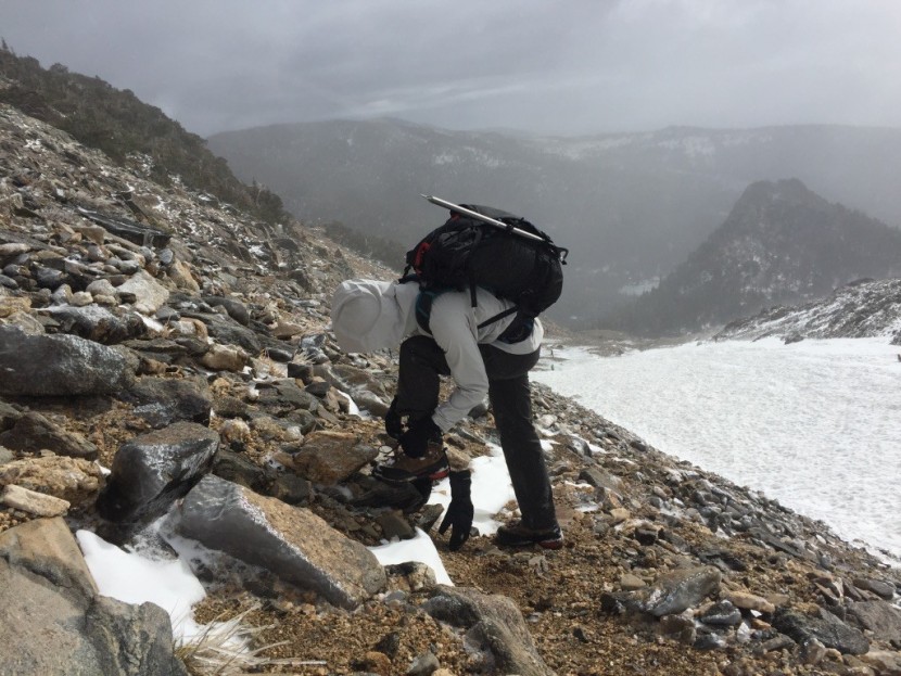 black diamond dawn patrol shell for women - this jacket kept us protected and moving with ease while on a very...