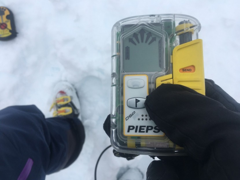 pieps dsp pro ice - the dsp ice is one of the more capable beacons in our review and...