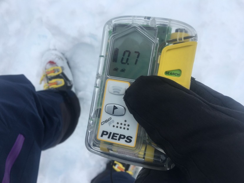 pieps dsp pro ice - the dsp ice excelled at finding a single burial and was one of the...