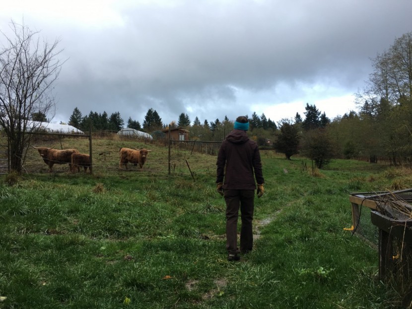 rei co-op stormrealm for women - venturing out onto the farm in inclement weather, wearing the rei...