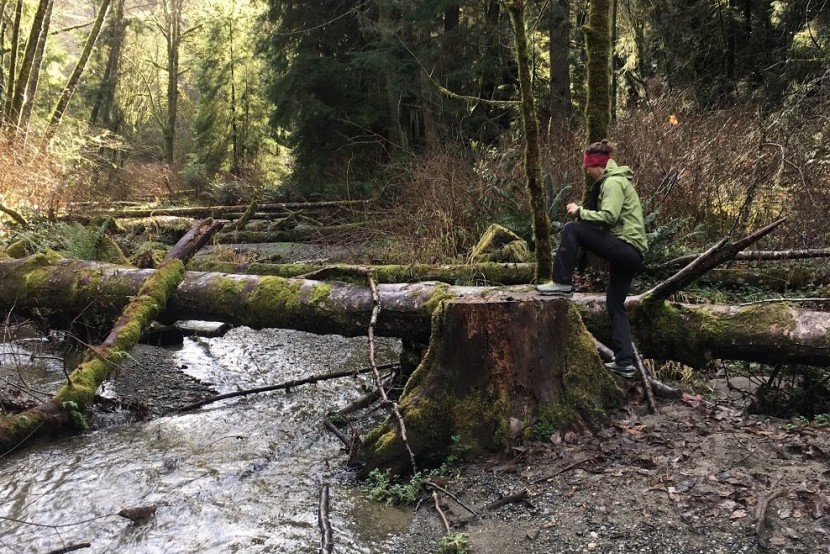 klattermusen allgron for women - testing the allgron in the pacific northwest. conclusion? it's a...