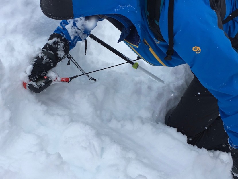 arva neo - while not quite a "fully featured beacon," the neo performs well in...