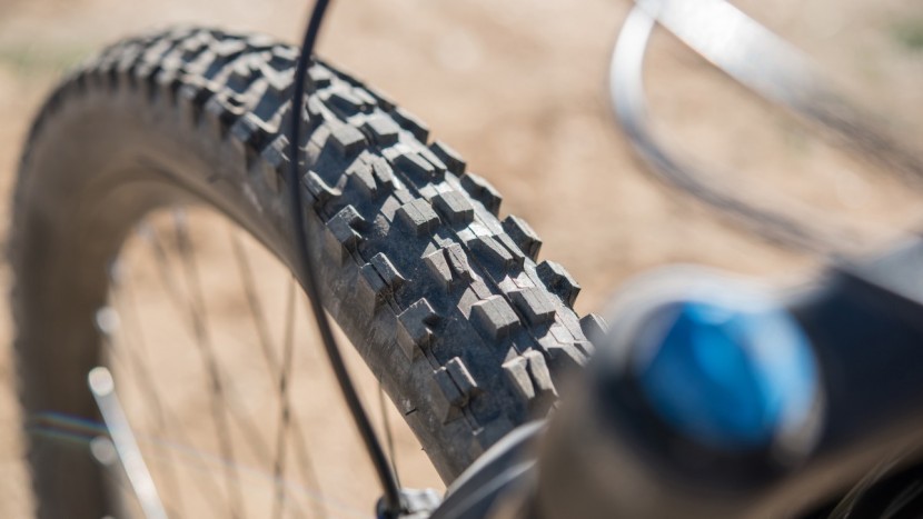 maxxis minion dhf up front? count us in.