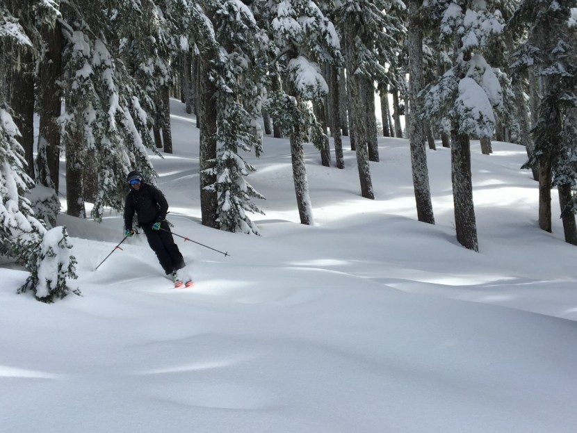 outdoor research riot - the riot is easily one of the all-around gloves for the price. its...