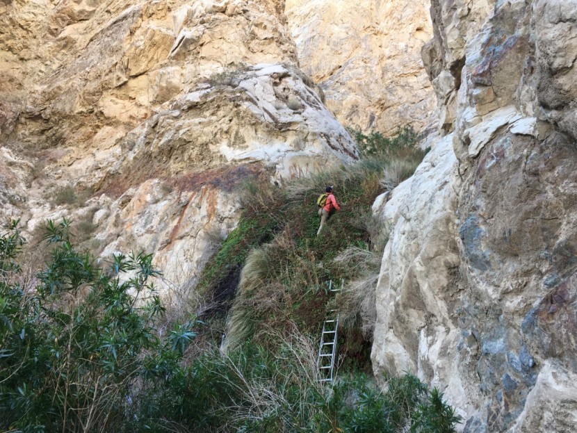 salomon x ultra mid 3 gtx - hiking up a narrow canyon filled with slick rock and grassy ledges...