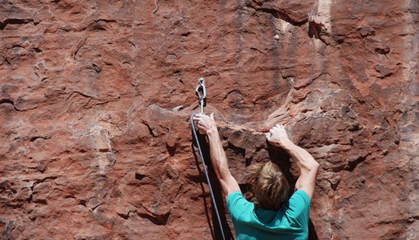 black diamond oz quickdraw - the oz clipped similarly to most other wiregates. it is a little on...