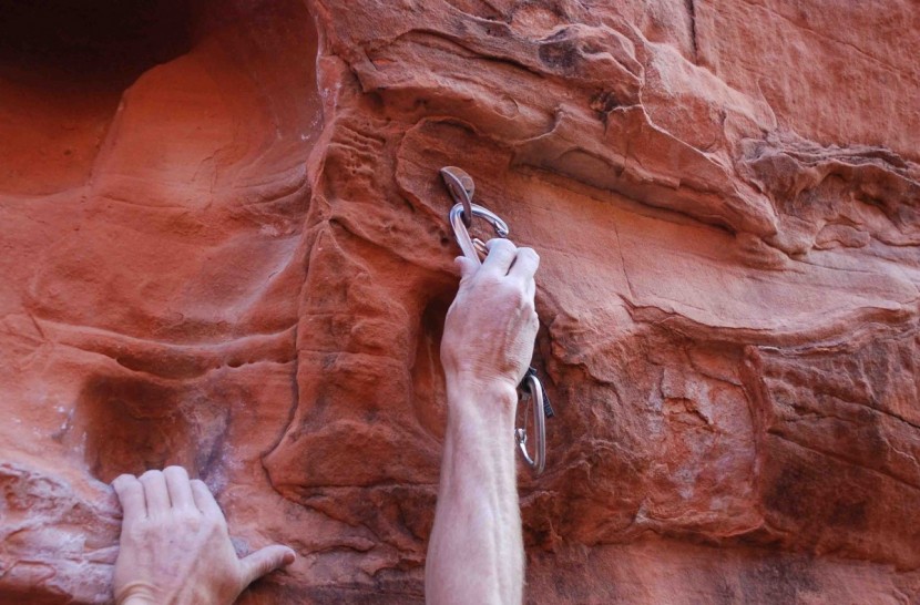 black diamond oz quickdraw - the &quot;hood&quot; on the notch helps prevent the draw from snagging on the...