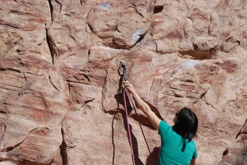 black diamond livewire quickdraw - the livewire is a snazzy looking draw with great clipping and...