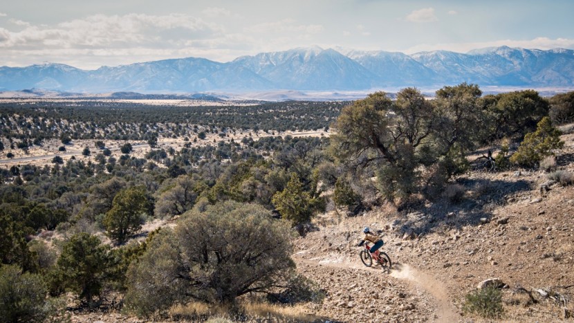 canyon spectral al 6.0 2018 - this bike is comfortable on a huge range of terrain.