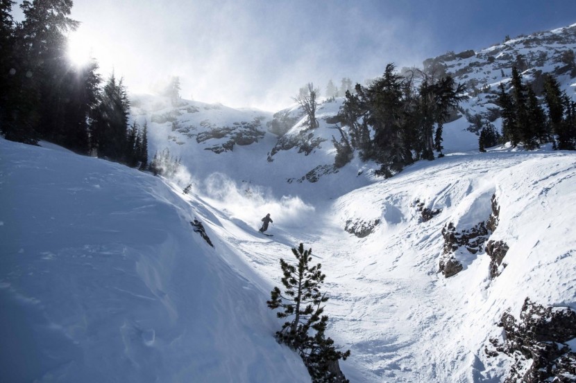 スキー dps CASSIAR F82 DPS Cassiar A95 Alchemist Men's Skis - Powder7