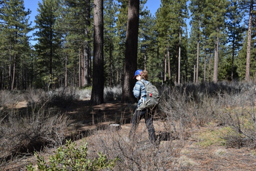 marmot bridget flannel - getting those spring miles in up in the high sierra!