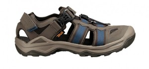 Product photo of Teva Omnium 2