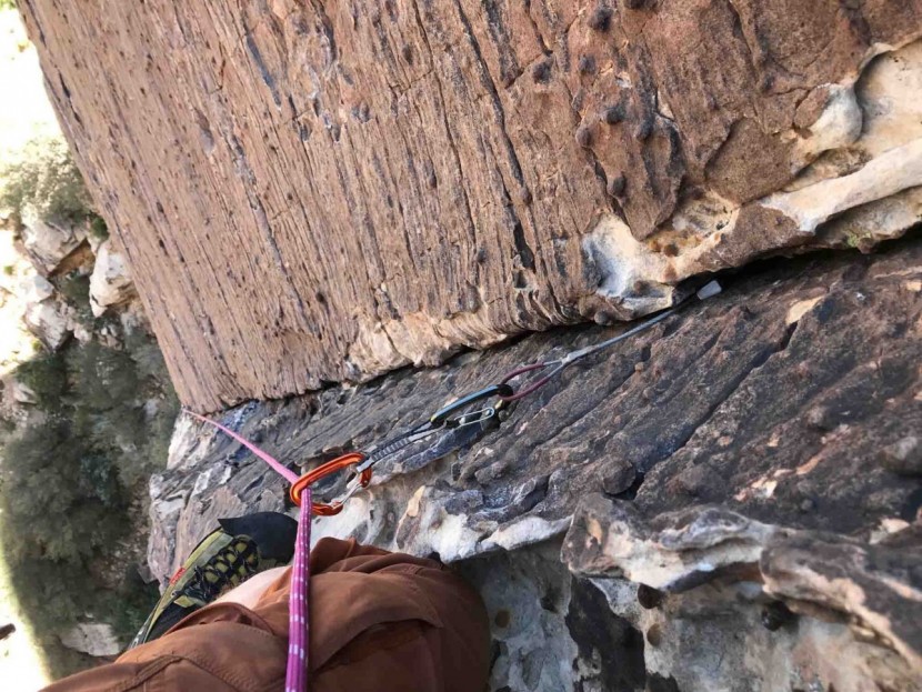 cypher firefly ii - the firefly is an excellent lightweight quickdraw. it was one of the...