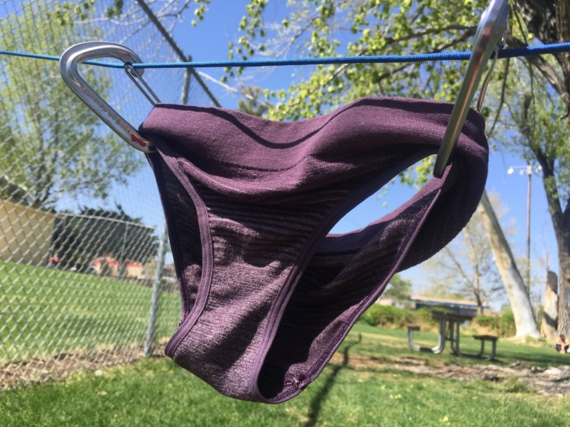 smartwool phd seamless bikini - the phd seamless bikini gets its daily dose of vitamin d.