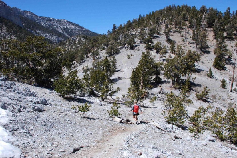 mammut lithia speed 15 - if you're trying to cover a lot of ground quickly, the lithia 15...