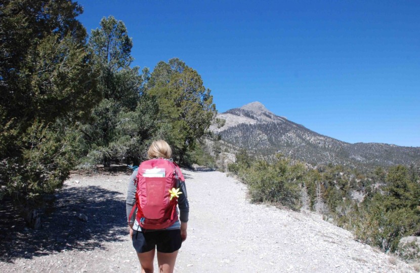 deuter futura 22 sl - this is a great daypack for times when the weather is warm and...