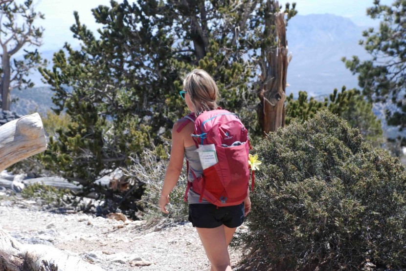 deuter futura 22 sl - out for a hike in the futura. we liked the exterior pockets and...