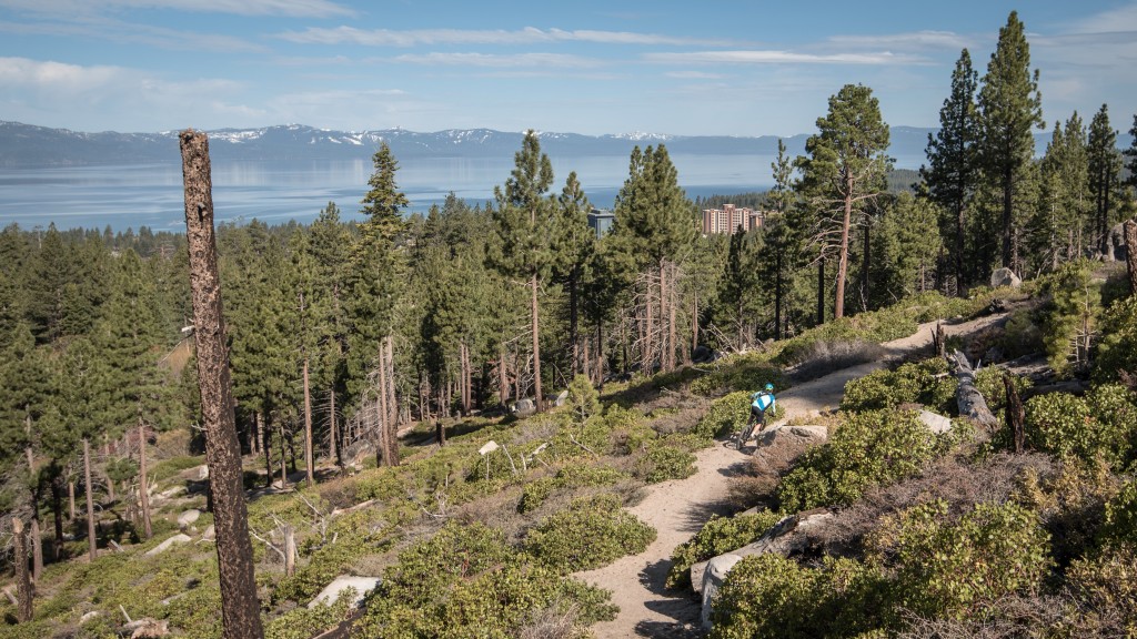 marin pine mountain 1 2018 - beautiful.