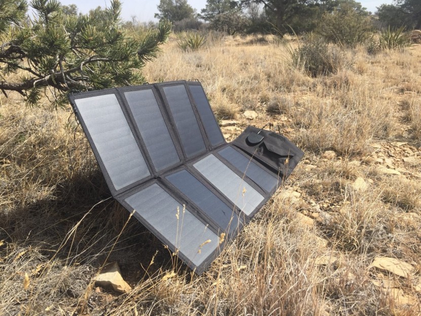 x-dragon 40w - here, the x-dragon is precariously hanging from a tree branch, only...