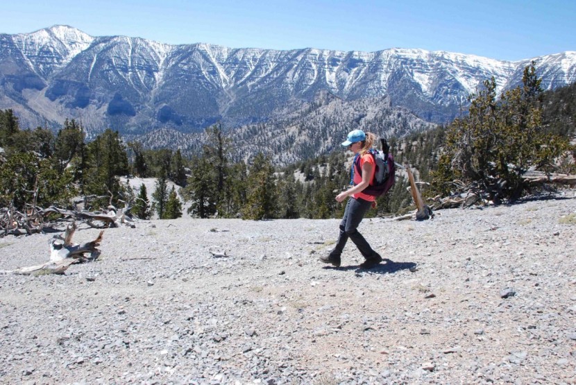 royal robbins jammer ii - early spring hikes at elevation are a great use for this pant...