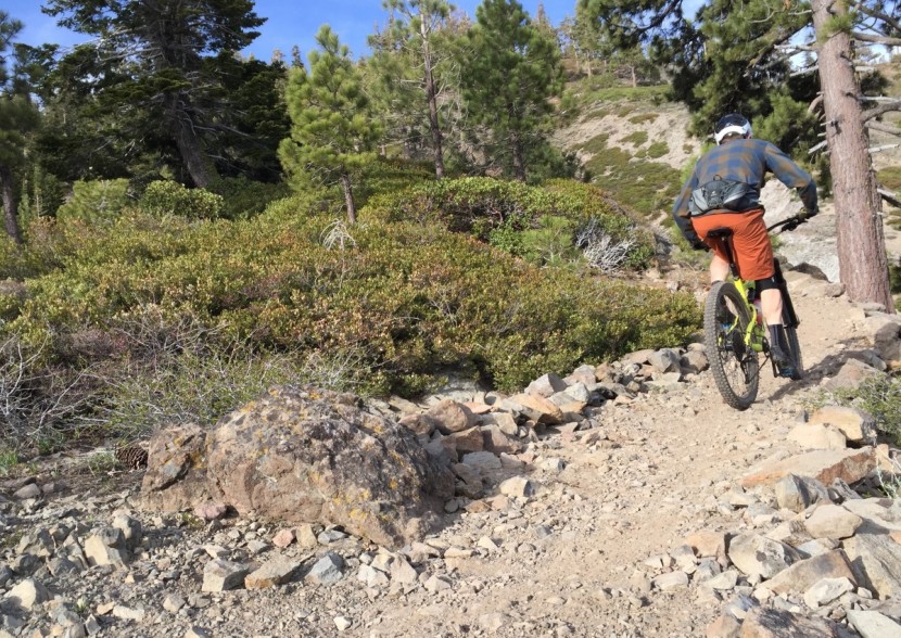 bike helmet - with proper coverage on the back of the head comes more security...