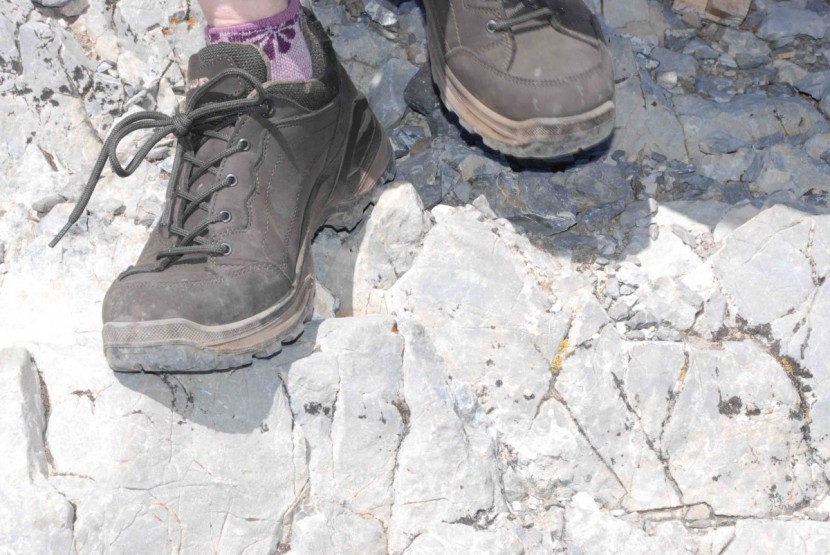 lowa renegade gtx lo for women - this pair should last for hundreds of miles. the pu midsole won&#039;t...