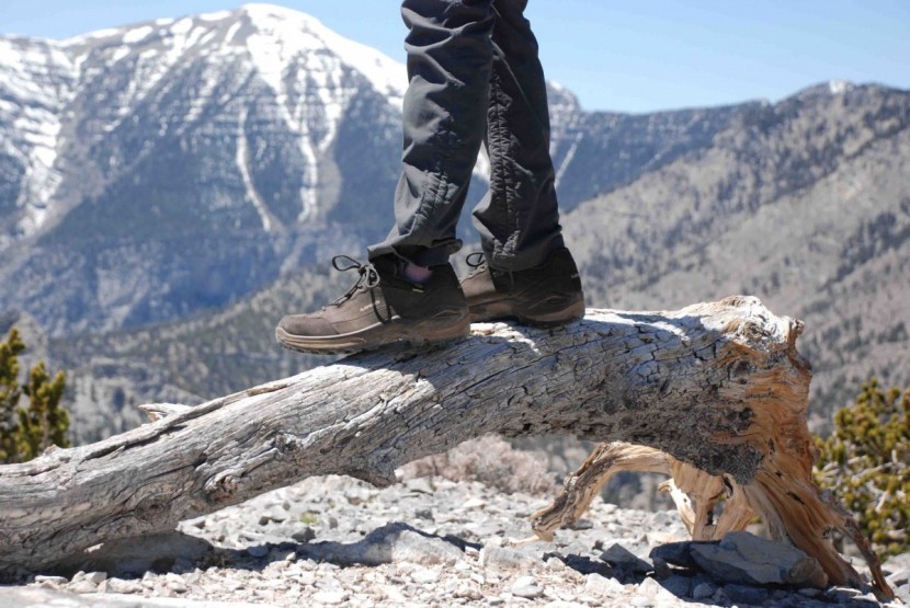 lowa renegade gtx lo for women - our top pick for durability is a solidly built pair. while this shoe...