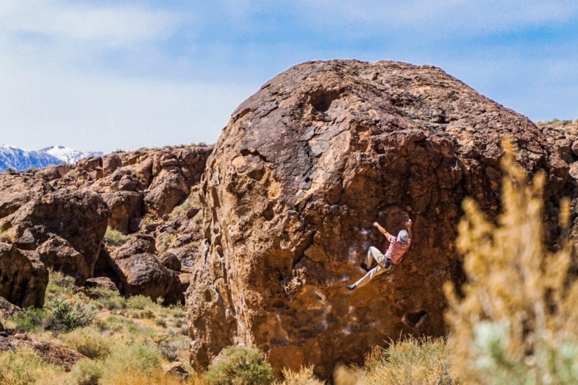 black diamond momentum - the momentums worked just fine for mellow circuiting in the happy...