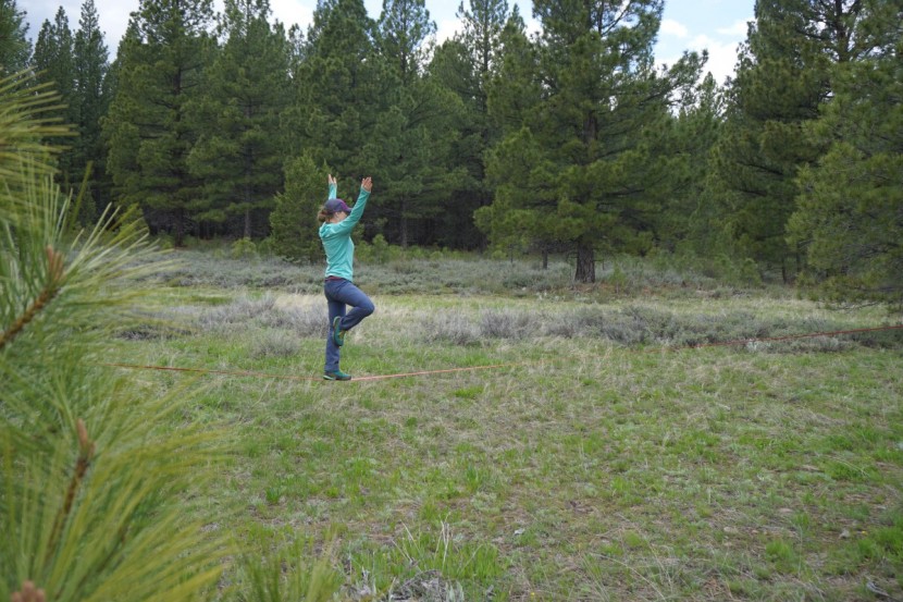 slackline industries base line - whether you are learning to walk or making the jump into tricks...