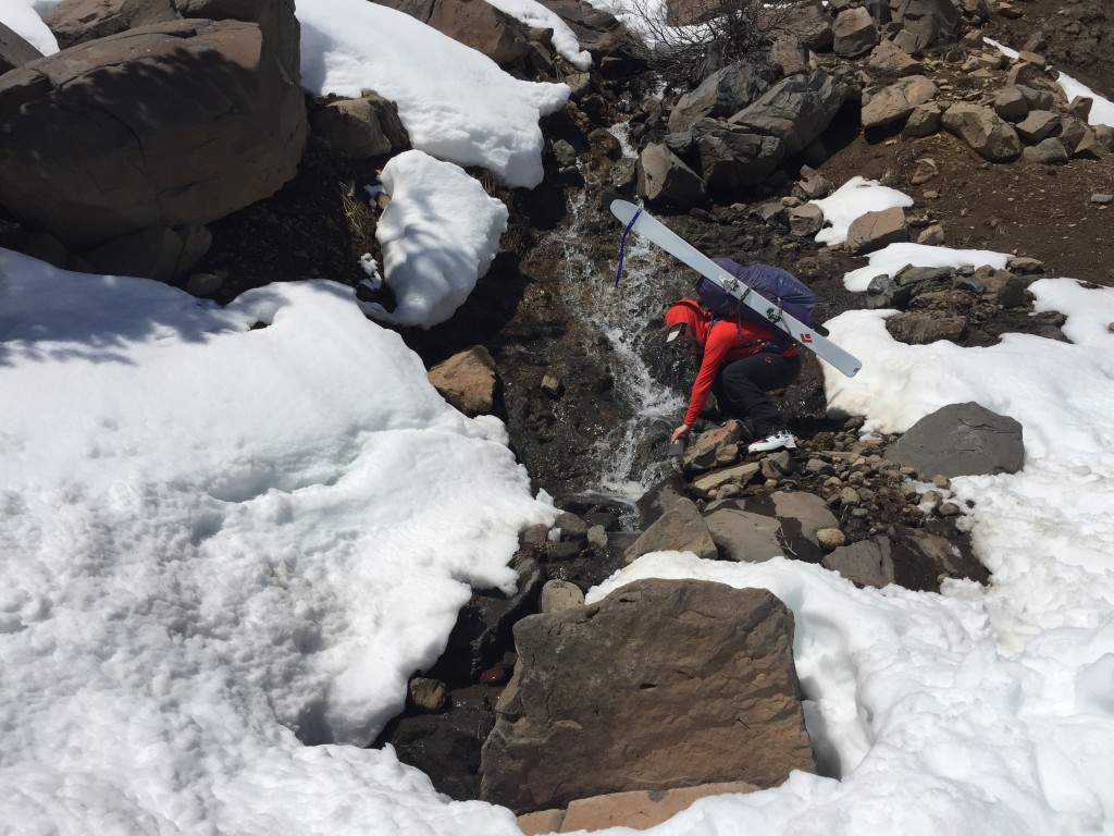 LifeStraw Flex Water Filter Review