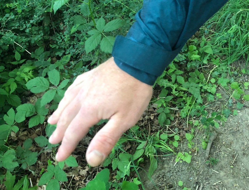 marmot phoenix - the phoenix features basic but very effective velcro wrist closures;...