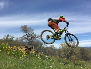 Lead photo for Best Mountain Bike Saddles